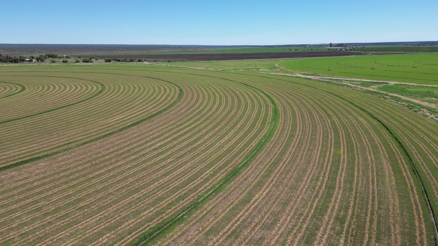 0 Bedroom Property for Sale in Douglas Rural Northern Cape